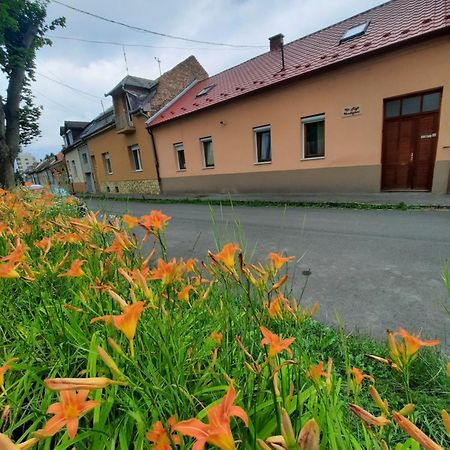 Hotel Kis Rigo Vendeghaz Salgótarján Exterior foto