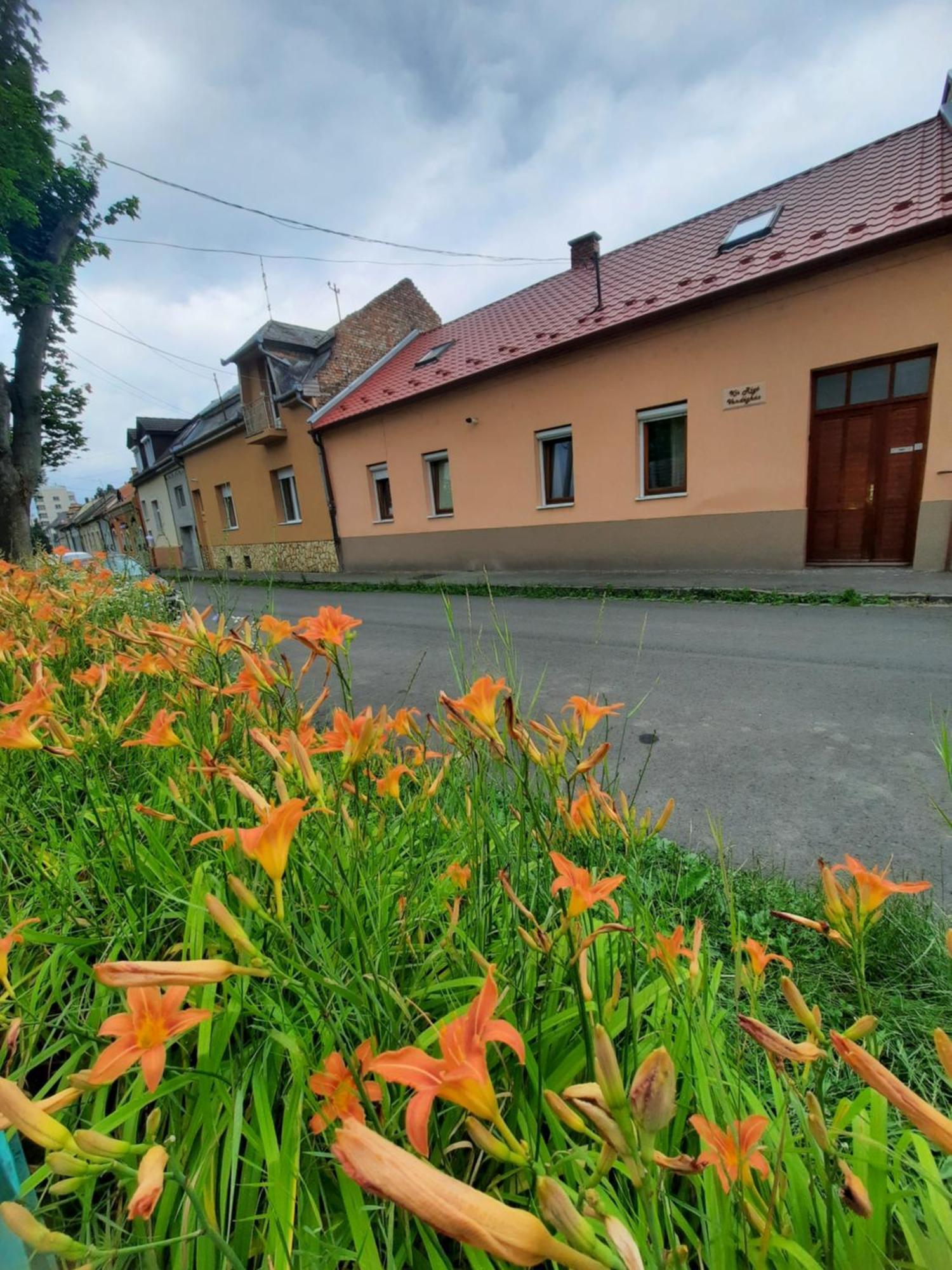 Hotel Kis Rigo Vendeghaz Salgótarján Exterior foto